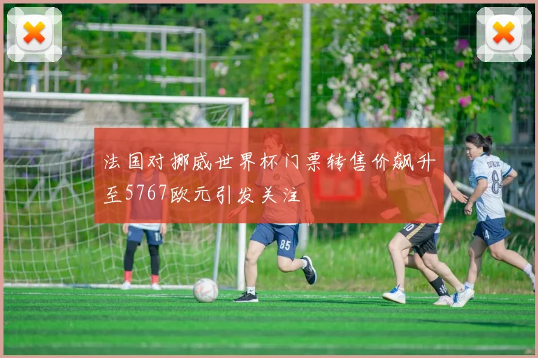 法国对挪威世界杯门票转售价飙升至5767欧元引发关注