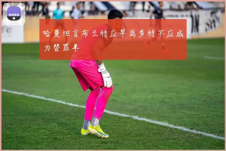 哈曼坦言布兰特应早离多特不应成为替罪羊